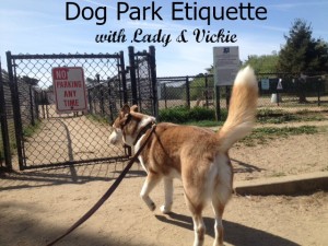 dog park etiquette