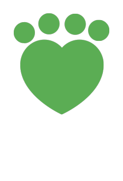 member 2008 doggone safe logo