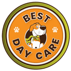 happy doggo - best day care